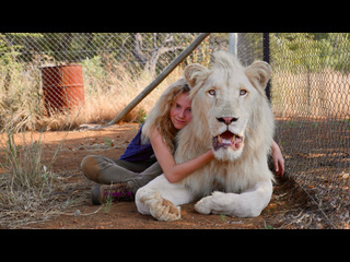 mia and the white lion